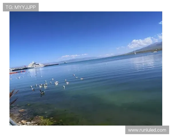 《蝴蝶梦》：一段缠绵悱恻的爱情悲歌，一次触及灵魂的镜面之旅